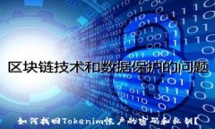  如何找回Tokenim帐户的密码