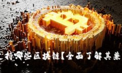 Tokenim 支持哪些区块链？全