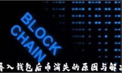 私钥导入钱包后币消失的原因与解决方案