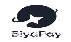 比特币钱包的分类及选择指南