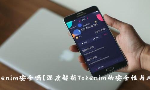 Tokenim安全吗？深度解析Tokenim的安全性与风险