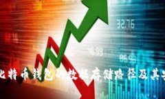 了解比特币钱包的数据存储路径及其安全性