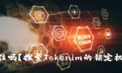Tokenim能锁住吗？探索Tokenim的锁定机制及应用前景