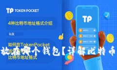 : 比特币存放在哪个钱包？详解比特币钱包的选择
