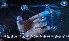 IM2.0钱包丢失了怎么办？如何找回及安全管理技巧