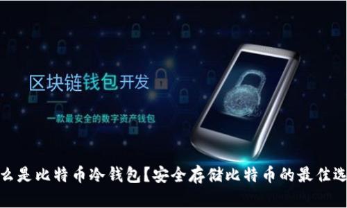 什么是比特币冷钱包？安全存储比特币的最佳选择