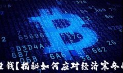 钱包没钱？揭秘如何应对经济寒冬的方法