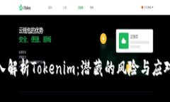 : 深入解析Tokenim：潜藏的风险与应对策略