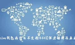 Tokenim钱包为什么不支持BSC？深度解析及未来展望