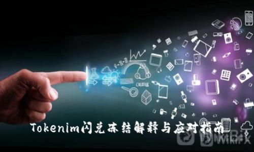 Tokenim闪兑冻结解释与应对指南