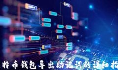 比特币钱包导出助记词的详细指南