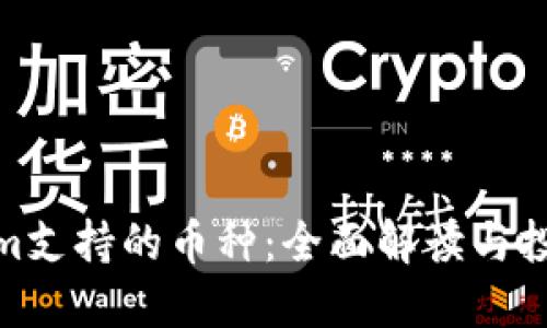 Tokenim支持的币种：全面解读与投资机会