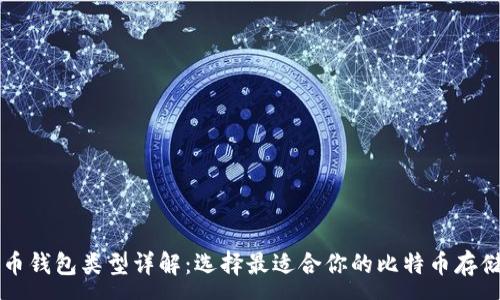 :
比特币钱包类型详解：选择最适合你的比特币存储方式