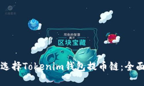 如何选择Tokenim钱包提币链：全面指南