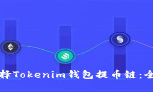 如何选择Tokenim钱包提币链：全面指南