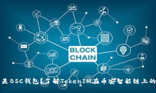 什么是BSC钱包？了解TokenIM在币安智能链上的应用