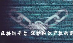 司法区块链平台：保护知